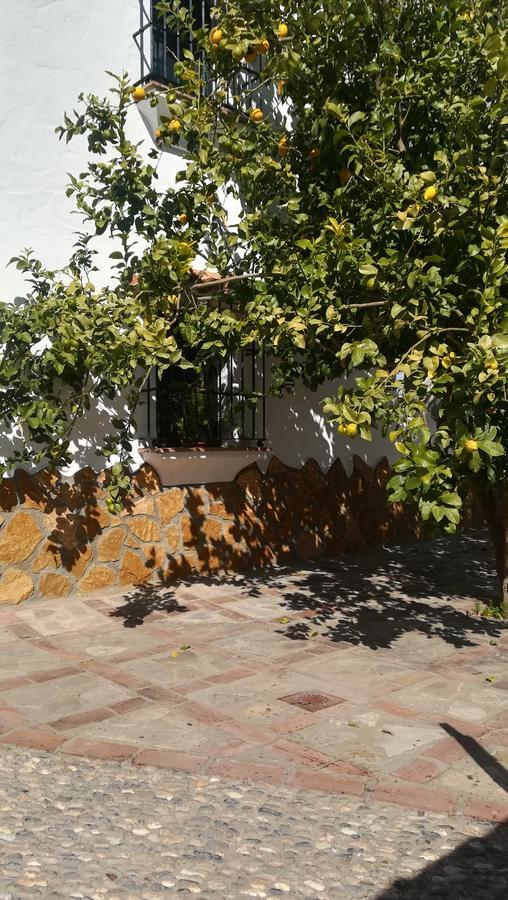 El Penon Villa Zahara De La Sierra Eksteriør billede